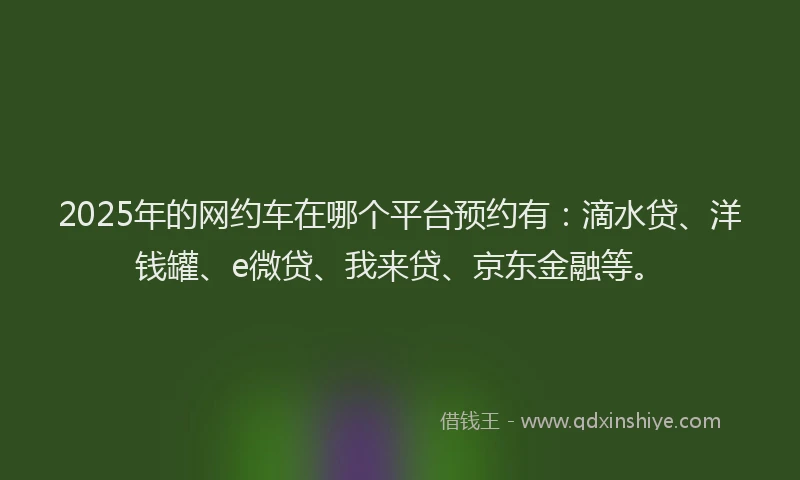 2025年的网约车在哪个平台预约有：滴水贷、洋钱罐、e微贷、我来贷、京东金融等。