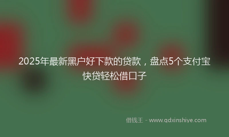 2025年最新黑户好下款的贷款，盘点5个支付宝快贷轻松借口子
