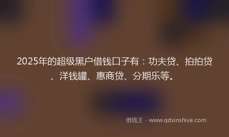 2025年的超级黑户借钱口子有：功夫贷、拍拍贷、洋钱罐、惠商贷、分期乐等。
