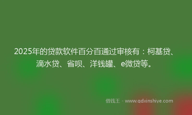 2025年的贷款软件百分百通过审核有：柯基贷、滴水贷、省呗、洋钱罐、e微贷等。