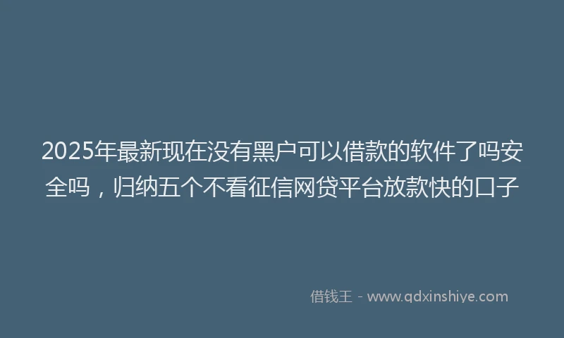 2025年最新现在没有黑户可以借款的软件了吗安全吗，归纳五个不看征信网贷平台放款快的口子