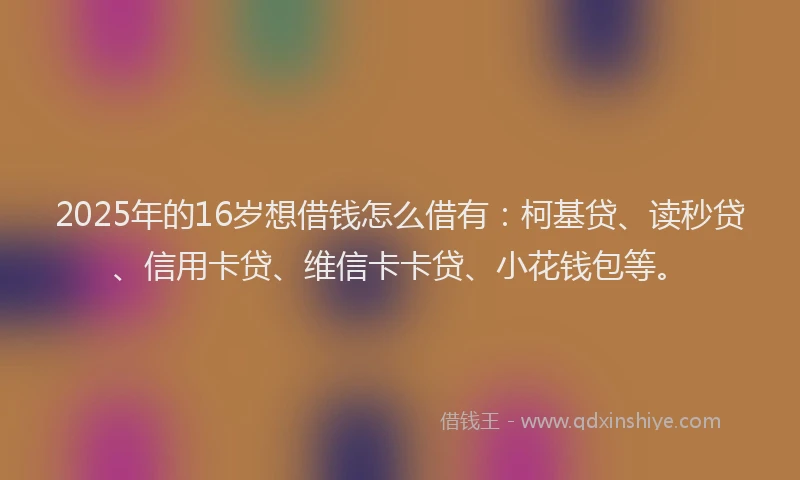 2025年的16岁想借钱怎么借有：柯基贷、读秒贷、信用卡贷、维信卡卡贷、小花钱包等。