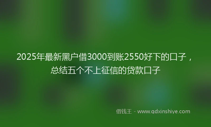 2025年最新黑户借3000到账2550好下的口子，总结五个不上征信的贷款口子