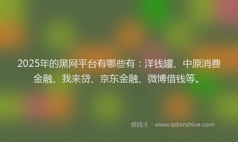 2025年的黑网平台有哪些有：洋钱罐、中原消费金融、我来贷、京东金融、微博借钱等。