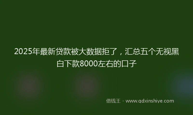 2025年最新贷款被大数据拒了，汇总五个无视黑白下款8000左右的口子