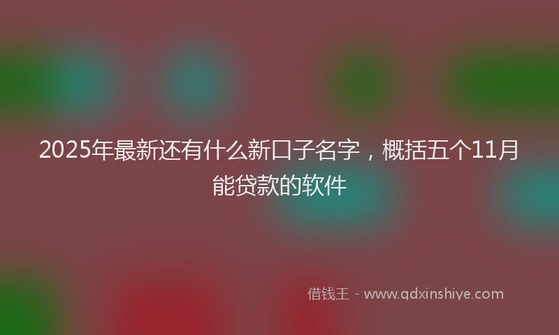 2025年最新还有什么新口子名字，概括五个11月能贷款的软件