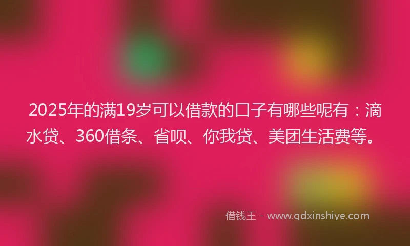 2025年的满19岁可以借款的口子有哪些呢有：滴水贷、360借条、省呗、你我贷、美团生活费等。