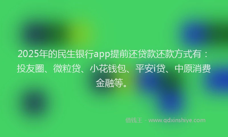 2025年的民生银行app提前还贷款还款方式有：投友圈、微粒贷、小花钱包、平安i贷、中原消费金融等。