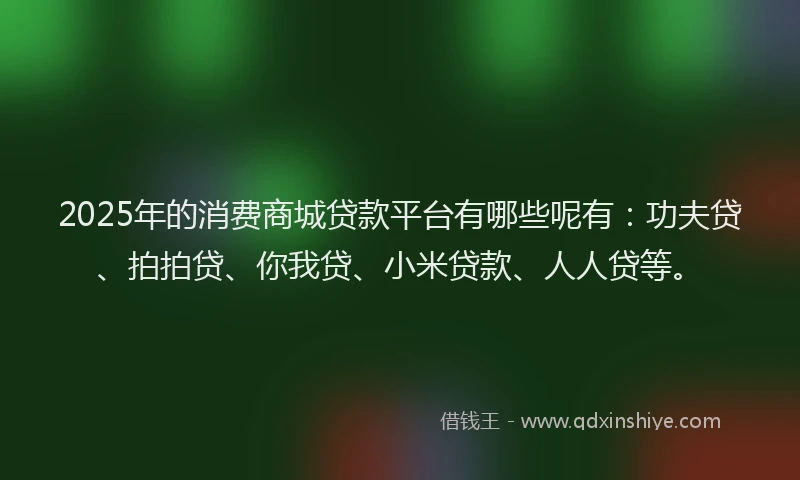 2025年的消费商城贷款平台有哪些呢有：功夫贷、拍拍贷、你我贷、小米贷款、人人贷等。