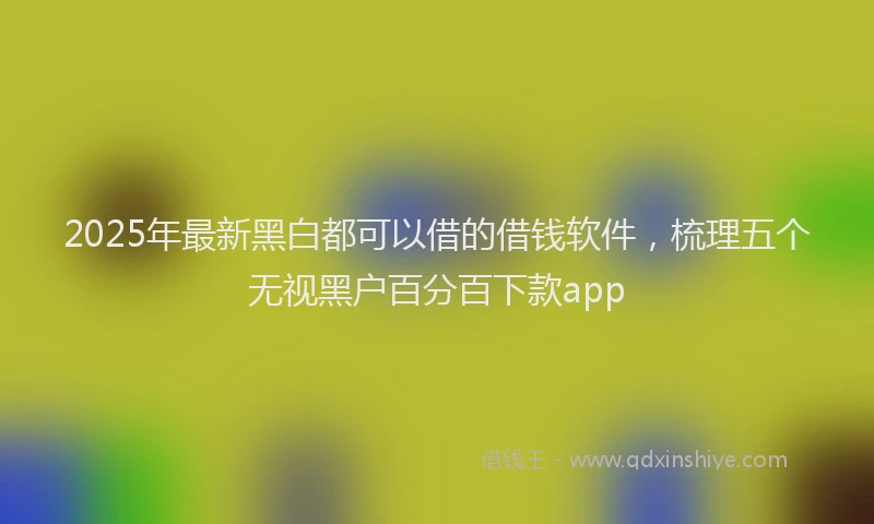 2025年最新黑白都可以借的借钱软件，梳理五个无视黑户百分百下款app