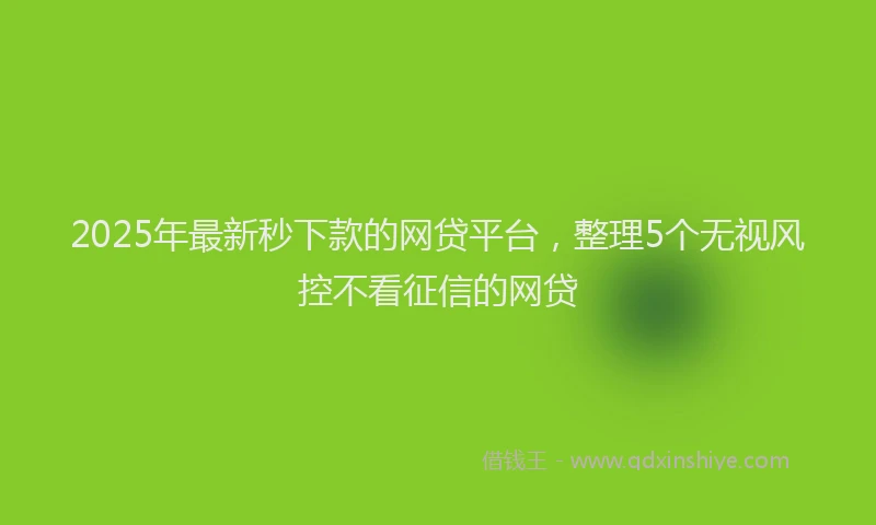 2025年最新秒下款的网贷平台，整理5个无视风控不看征信的网贷
