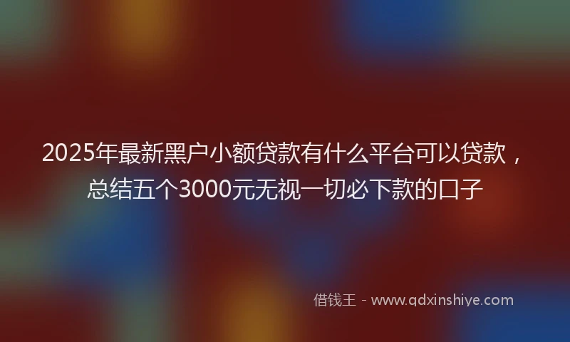 2025年最新黑户小额贷款有什么平台可以贷款，总结五个3000元无视一切必下款的口子