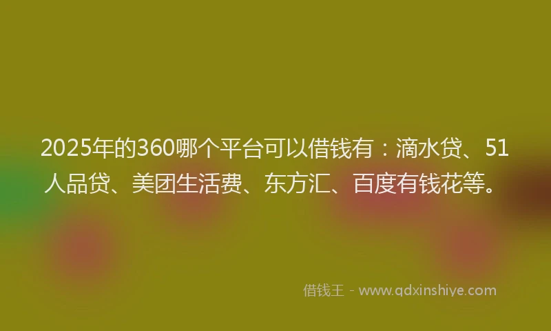 2025年的360哪个平台可以借钱有：滴水贷、51人品贷、美团生活费、东方汇、百度有钱花等。