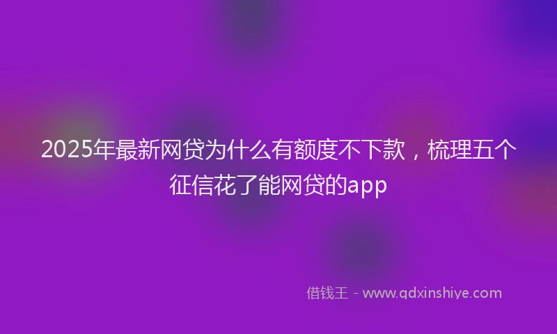2025年最新网贷为什么有额度不下款，梳理五个征信花了能网贷的app