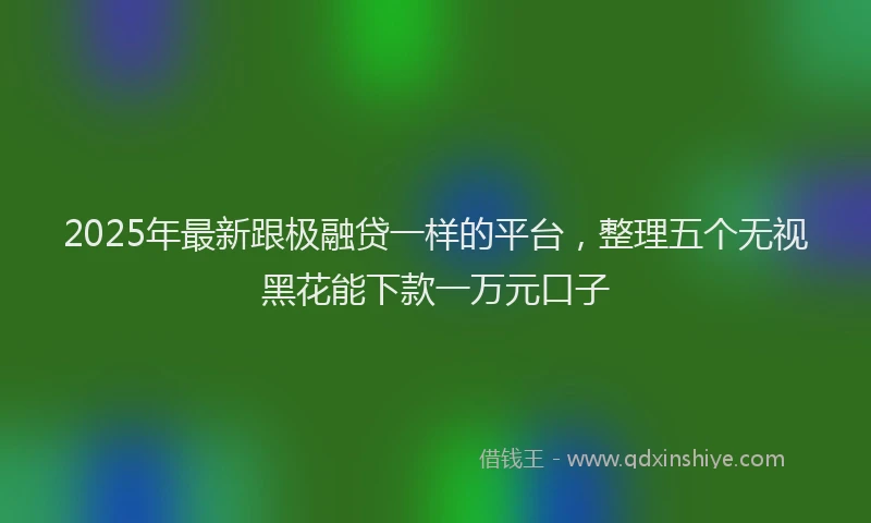 2025年最新跟极融贷一样的平台，整理五个无视黑花能下款一万元口子