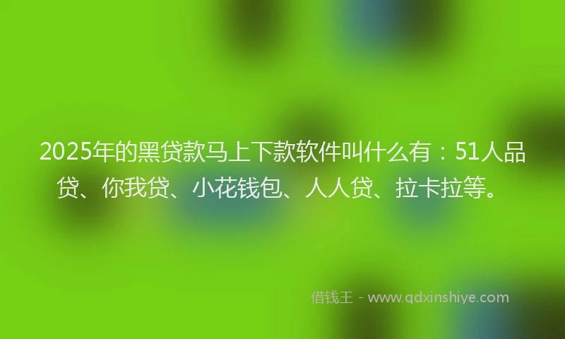 2025年的黑贷款马上下款软件叫什么有：51人品贷、你我贷、小花钱包、人人贷、拉卡拉等。