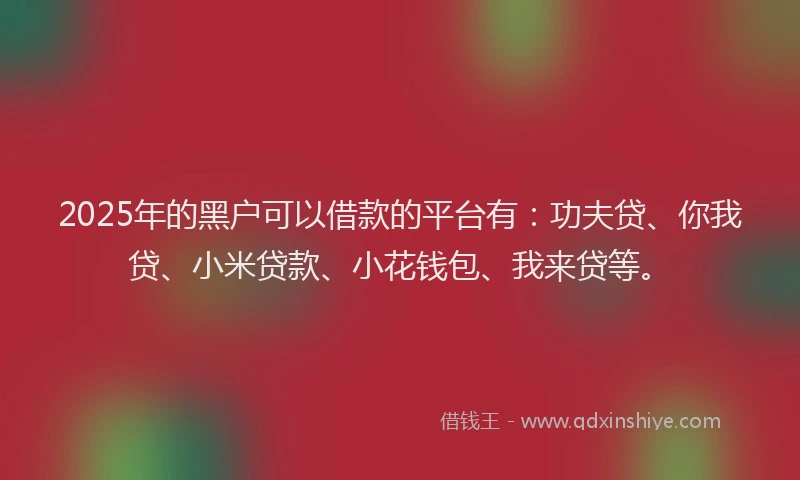 2025年的黑户可以借款的平台有：功夫贷、你我贷、小米贷款、小花钱包、我来贷等。