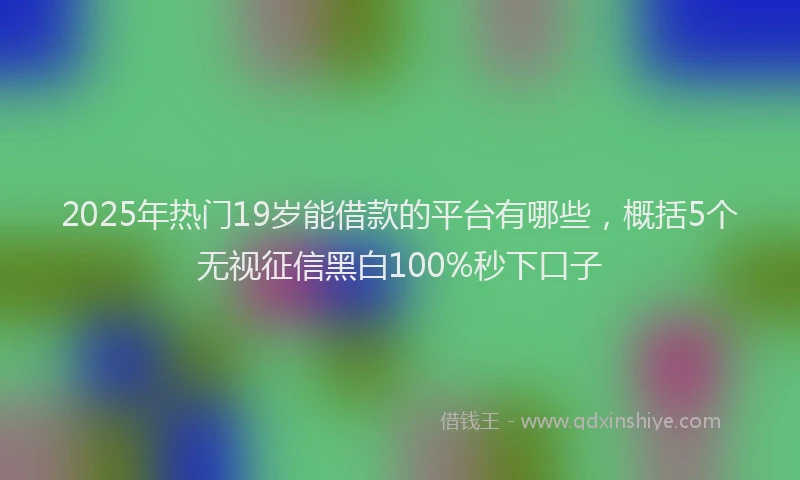 2025年热门19岁能借款的平台有哪些，概括5个无视征信黑白100%秒下口子