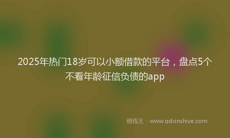 2025年热门18岁可以小额借款的平台，盘点5个不看年龄征信负债的app