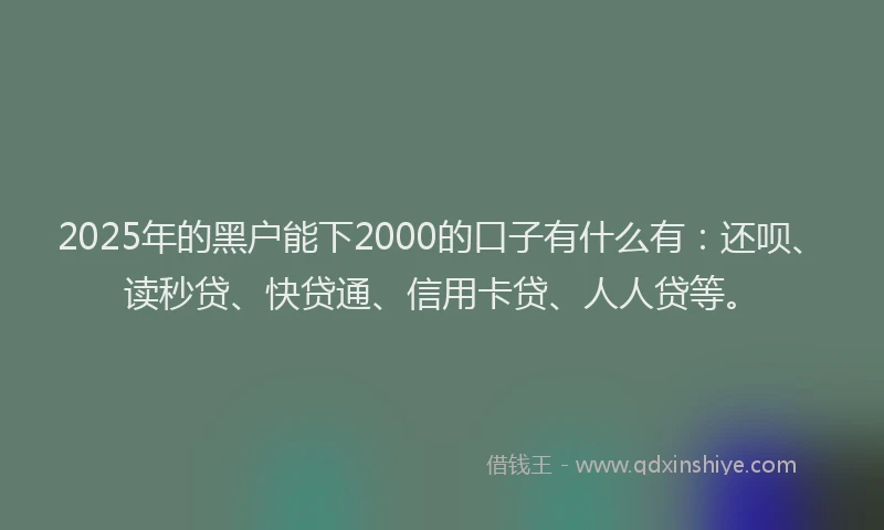 2025年的黑户能下2000的口子有什么有：还呗、读秒贷、快贷通、信用卡贷、人人贷等。