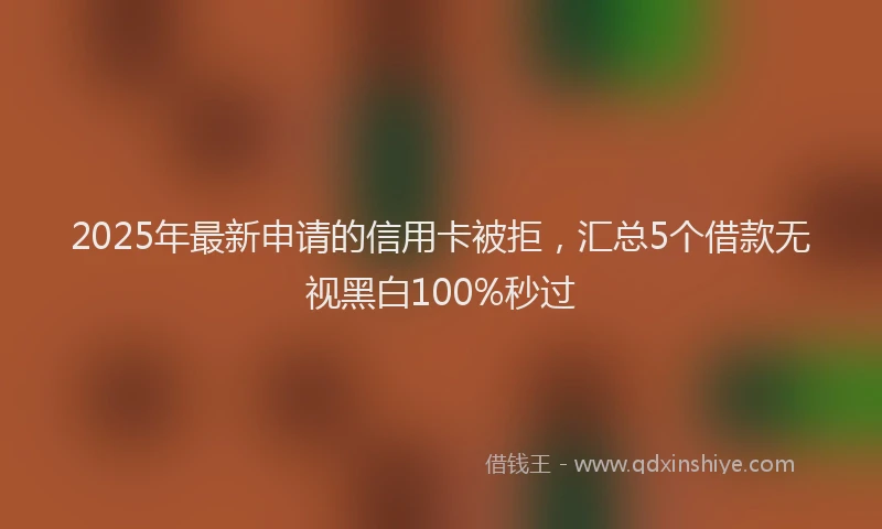2025年最新申请的信用卡被拒，汇总5个借款无视黑白100%秒过