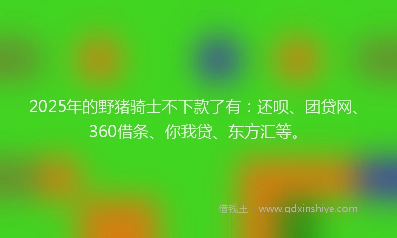 2025年的野猪骑士不下款了有：还呗、团贷网、360借条、你我贷、东方汇等。