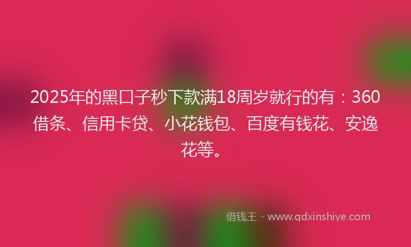 2025年的黑口子秒下款满18周岁就行的有：360借条、信用卡贷、小花钱包、百度有钱花、安逸花等。