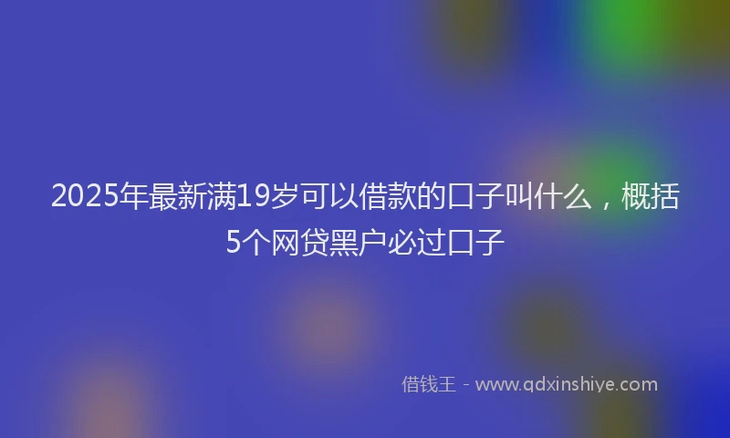 2025年最新满19岁可以借款的口子叫什么，概括5个网贷黑户必过口子