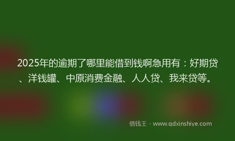 2025年的逾期了哪里能借到钱啊急用有：好期贷、洋钱罐、中原消费金融、人人贷、我来贷等。