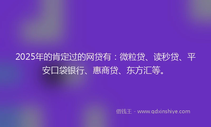 2025年的肯定过的网贷有：微粒贷、读秒贷、平安口袋银行、惠商贷、东方汇等。