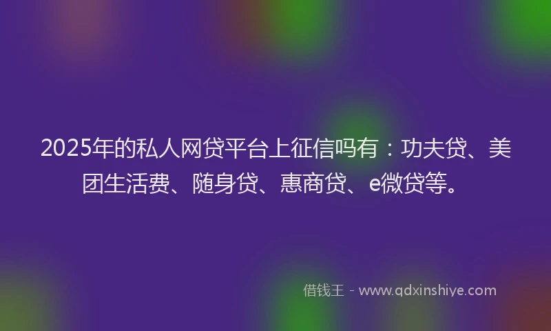 2025年的私人网贷平台上征信吗有：功夫贷、美团生活费、随身贷、惠商贷、e微贷等。