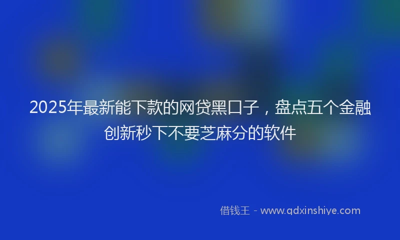 2025年最新能下款的网贷黑口子，盘点五个金融创新秒下不要芝麻分的软件