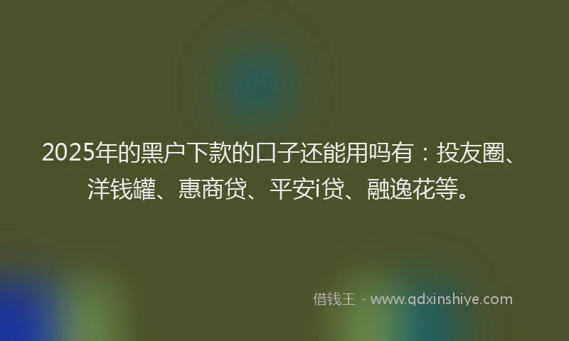 2025年的黑户下款的口子还能用吗有：投友圈、洋钱罐、惠商贷、平安i贷、融逸花等。