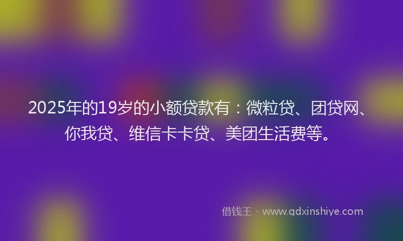 2025年的19岁的小额贷款有：微粒贷、团贷网、你我贷、维信卡卡贷、美团生活费等。