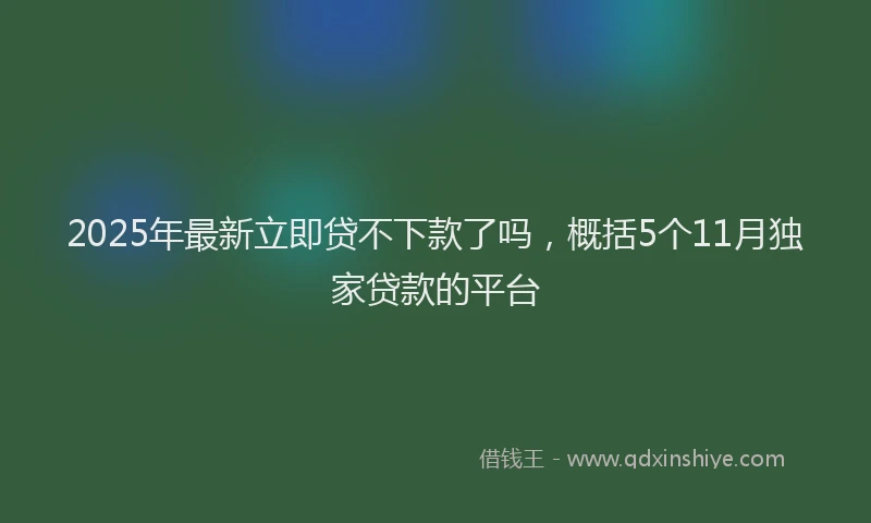 2025年最新立即贷不下款了吗，概括5个11月独家贷款的平台