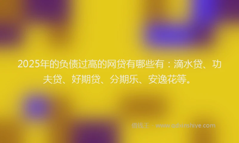 2025年的负债过高的网贷有哪些有：滴水贷、功夫贷、好期贷、分期乐、安逸花等。