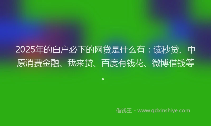 2025年的白户必下的网贷是什么有：读秒贷、中原消费金融、我来贷、百度有钱花、微博借钱等。