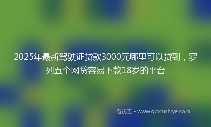 2025年最新驾驶证贷款3000元哪里可以贷到，罗列五个网贷容易下款18岁的平台