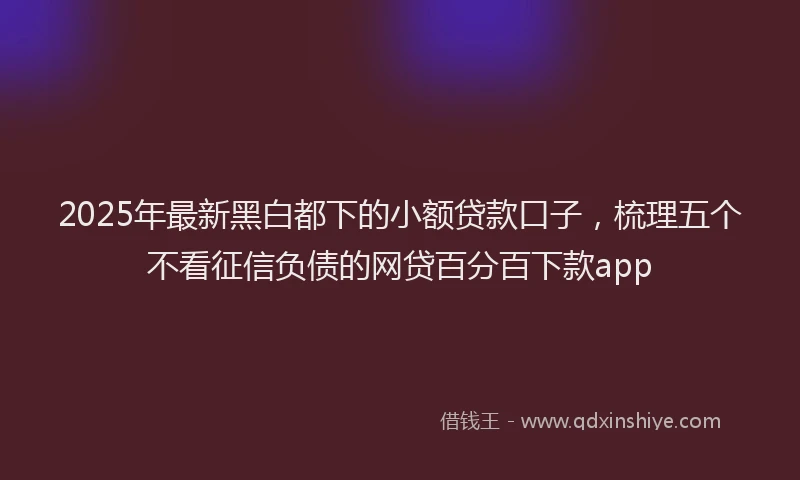 2025年最新黑白都下的小额贷款口子，梳理五个不看征信负债的网贷百分百下款app