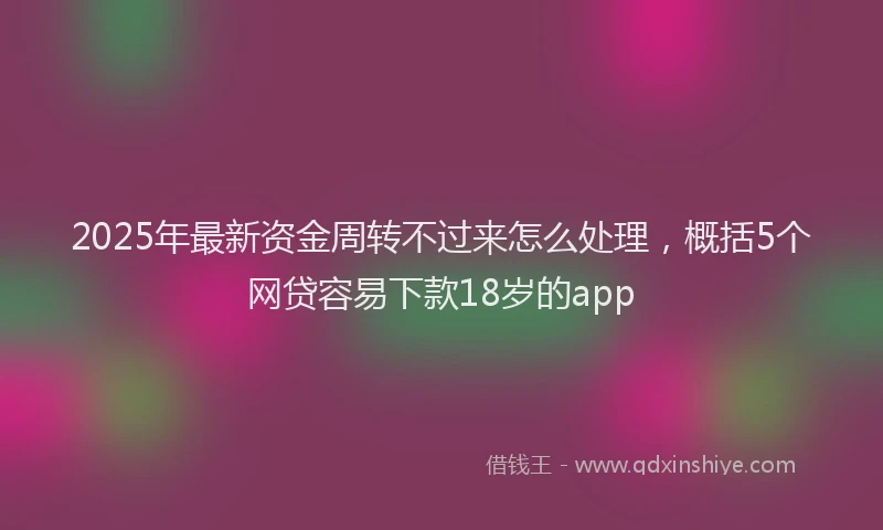 2025年最新资金周转不过来怎么处理，概括5个网贷容易下款18岁的app