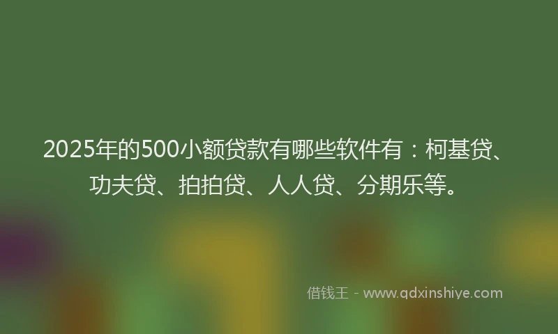 2025年的500小额贷款有哪些软件有：柯基贷、功夫贷、拍拍贷、人人贷、分期乐等。