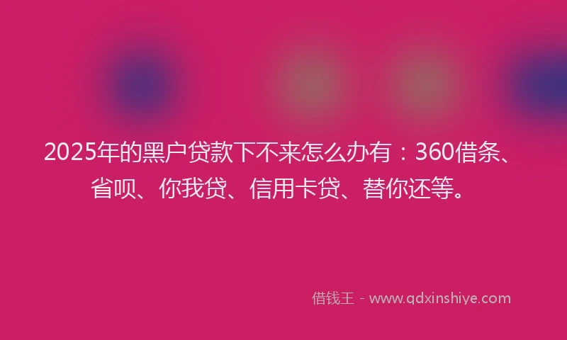 2025年的黑户贷款下不来怎么办有：360借条、省呗、你我贷、信用卡贷、替你还等。