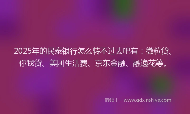 2025年的民泰银行怎么转不过去吧有：微粒贷、你我贷、美团生活费、京东金融、融逸花等。