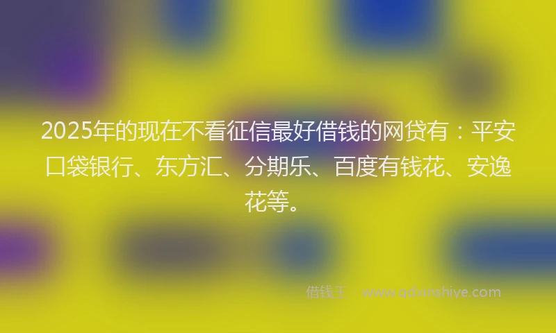 2025年的现在不看征信最好借钱的网贷有：平安口袋银行、东方汇、分期乐、百度有钱花、安逸花等。