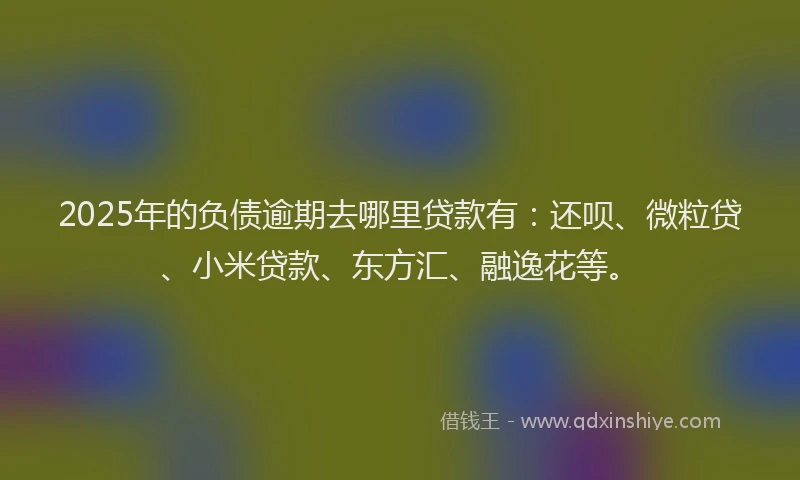 2025年的负债逾期去哪里贷款有：还呗、微粒贷、小米贷款、东方汇、融逸花等。