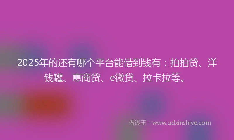 2025年的还有哪个平台能借到钱有：拍拍贷、洋钱罐、惠商贷、e微贷、拉卡拉等。
