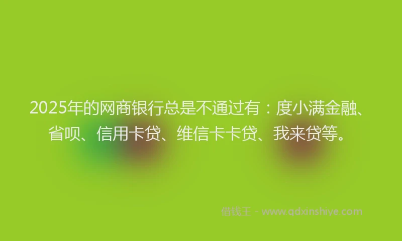 2025年的网商银行总是不通过有：度小满金融、省呗、信用卡贷、维信卡卡贷、我来贷等。