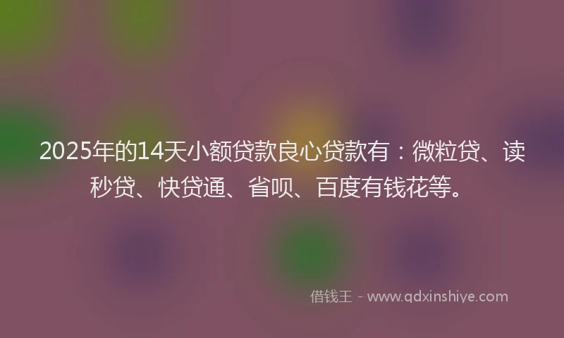 2025年的14天小额贷款良心贷款有：微粒贷、读秒贷、快贷通、省呗、百度有钱花等。
