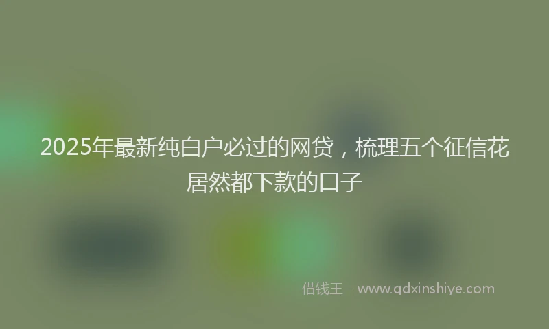 2025年最新纯白户必过的网贷，梳理五个征信花居然都下款的口子