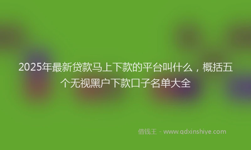 2025年最新贷款马上下款的平台叫什么，概括五个无视黑户下款口子名单大全